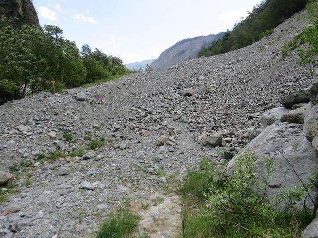 der Weg wird nun alpiner