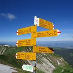 wir steigen vom Gipfel des Moléson ab, und erreichen die Weggabelung bei Punkt 1950 m.ü.M.