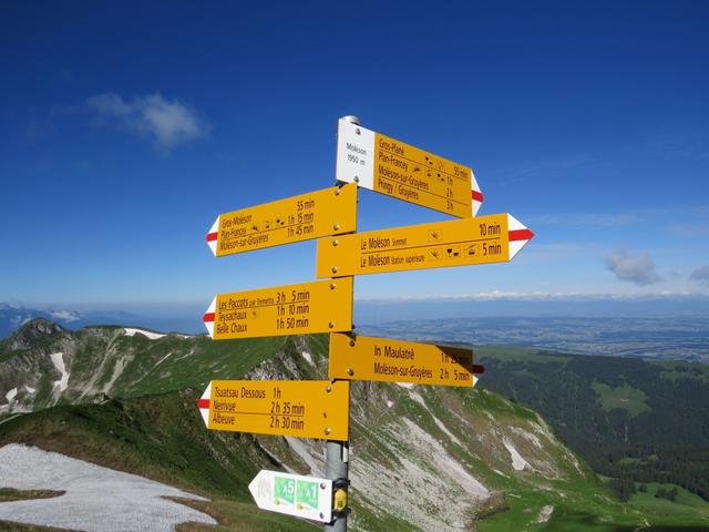 wir steigen vom Gipfel des Moléson ab, und erreichen die Weggabelung bei Punkt 1950 m.ü.M.