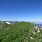 Blick von Punkt 1919 m.ü.M. Richtung Teysachaux. Vom Teysachaux sieht man nur den Gipfel