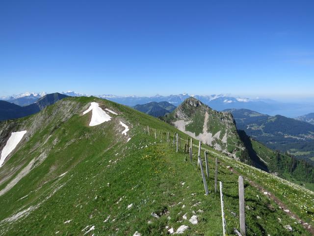 die Wanderung führt nun alles der Crête de Moléson entlang