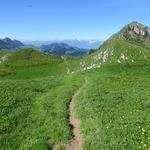 ... geht es in leichtem Auf und Ab dem Genfersee und den Nachbargipfel Teysachaux entgegen