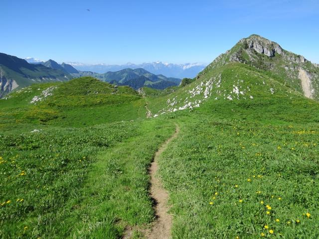 ... geht es in leichtem Auf und Ab dem Genfersee und den Nachbargipfel Teysachaux entgegen