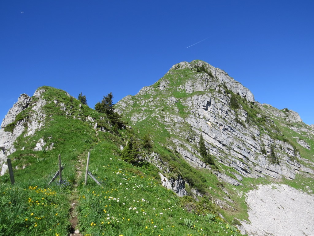 ... zum Col de Tremetta Punkt 1788 m.ü.M. Vor uns türmt sich nun der Teysachaux in den Himmel hinauf