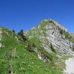 ... zum Col de Tremetta Punkt 1788 m.ü.M. Vor uns türmt sich nun der Teysachaux in den Himmel hinauf