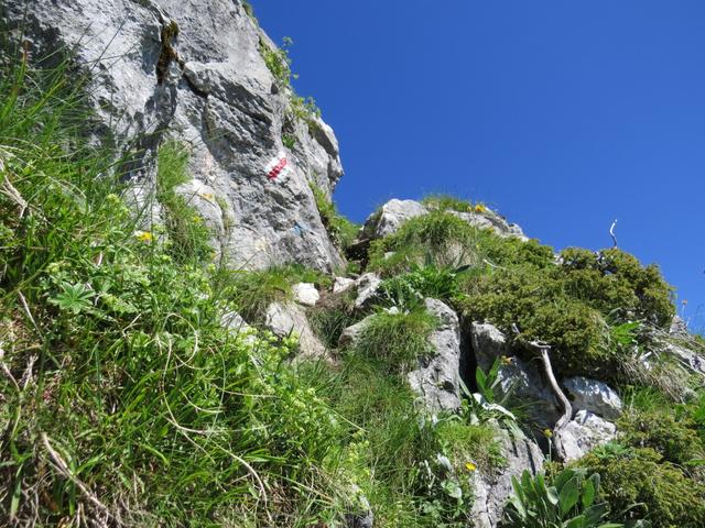 der Bergpfad führt uns durch diese enge Stelle. Hier müssen defintiv die Hände aus den Hosentaschen genommen werden