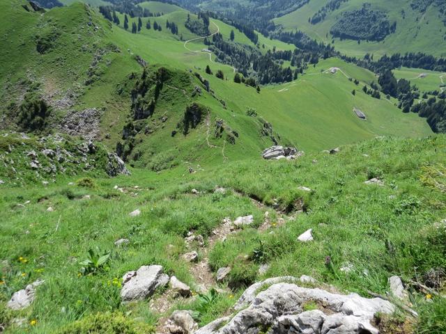 Tiefblick zum Col de Tremetta. Auf dem Bild ist gut ersichtlich wie steil der Bergweg ist