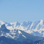 Petit Dents de Morcles, Grand Golliat, Mont Dolent und die verschiedenen Aiguilles