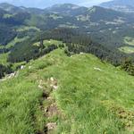 über grasige Alpweiden führt uns nun der einfache Wanderweg hinunter zur Alp La Chaux