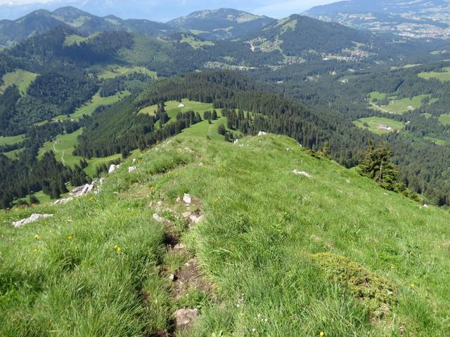 über grasige Alpweiden führt uns nun der einfache Wanderweg hinunter zur Alp La Chaux