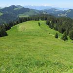 wir erreichen die Weggreuzung bei der Alp La Chaux 1544 m.ü.M.