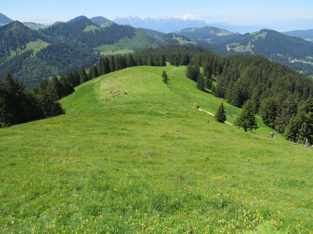 wir erreichen die Weggreuzung bei der Alp La Chaux 1544 m.ü.M.