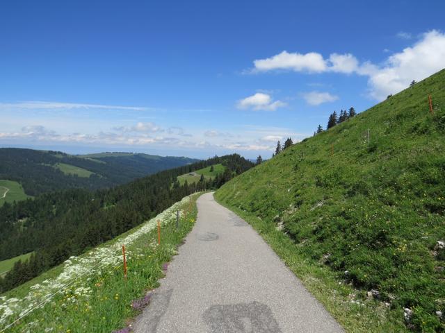 bei der Weggreuzung biegen wir rechts ab, und laufen über Alpstrassen Richtung Gros-Plané