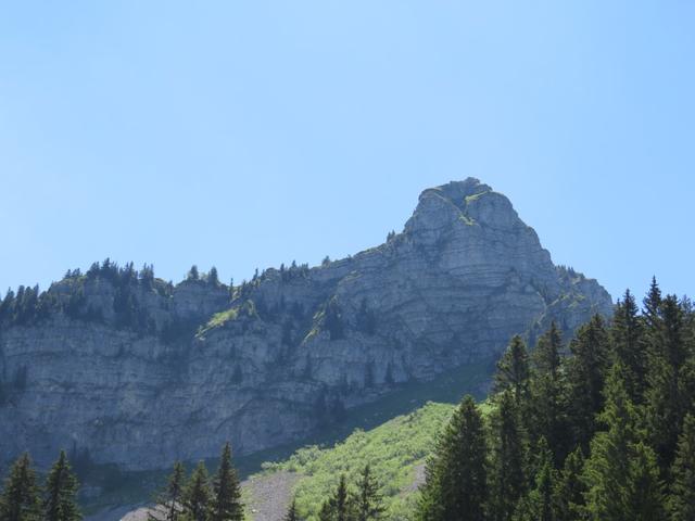 Blick hinauf zum Teysachaux. Noch vor kurzem standen wir dort oben