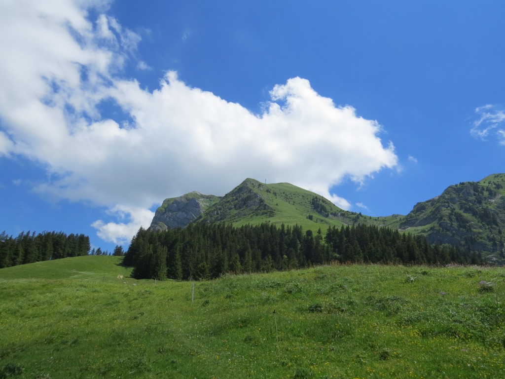 Blick hinauf zum Le Moléson
