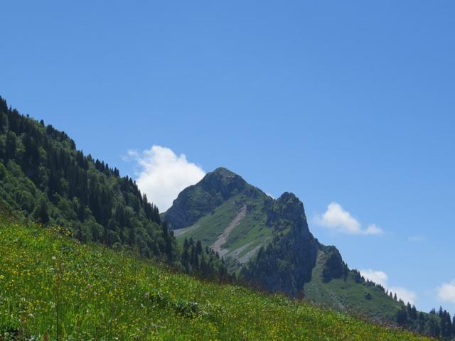 Blick zurück zum Teysachaux