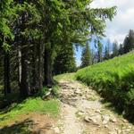 auf einem breiten Wanderweg geht es weiter nach Plan Francey