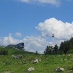 Blick hinauf zur Seilbahn die von Plan Francey, zum Le Moléson hinaufführt