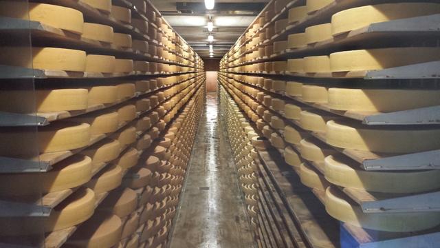 bevor wir Gruyères verlassen, kaufen wir in der Dorfkäserei noch Käse der Region ein