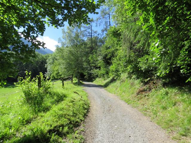 auf dem Weg nach La Garde