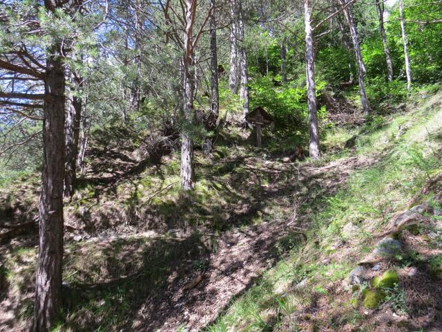 rechts steil ansteigend folgen wir im Wald Kehre für Kehre einem Kreuzweg