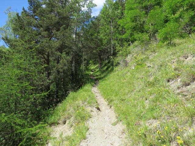 über einen schönen Wanderweg geht es weiter Richtung Orsières