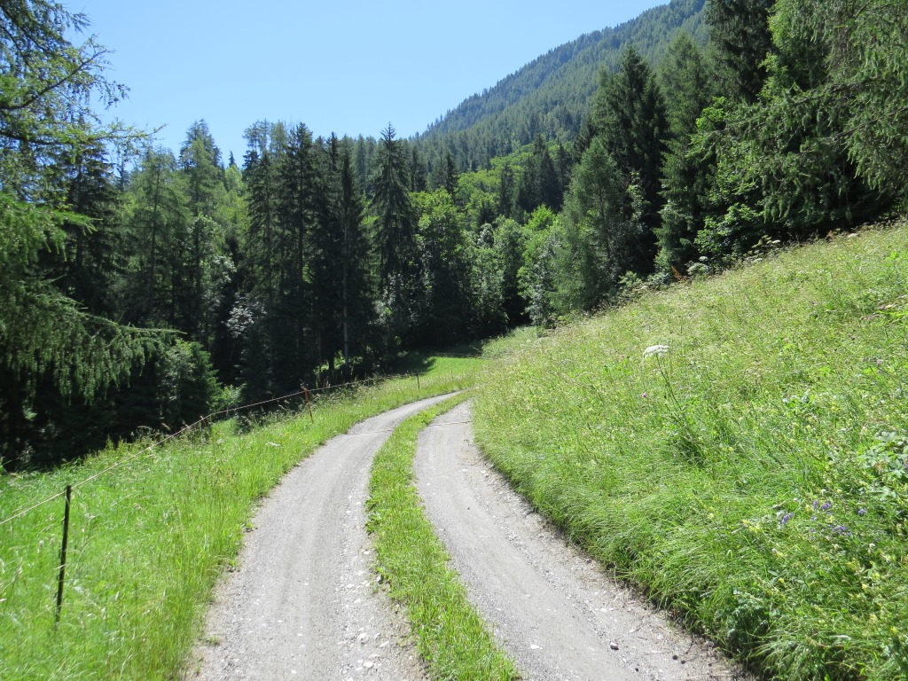 über eine Alpstrasse gewinnen wir weiter an Höhe. 1400 Höhenmeter sind noch zu bewältigen