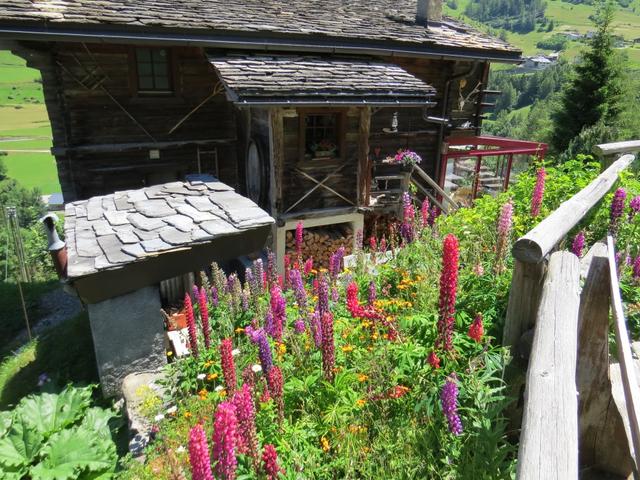 schöne Häuser und Blumen können während dem laufen bestaunt werden