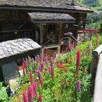 schöne Häuser und Blumen können während dem laufen bestaunt werden