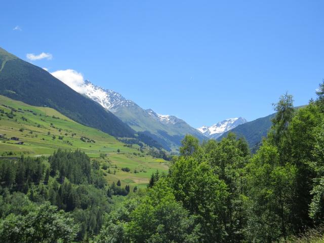 Blick ins Val d'Entremont mit dem Mont Vélan