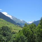 Blick ins Val d'Entremont mit dem Mont Vélan