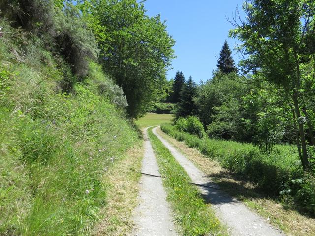 alles der Dranse d'Entremont laufen wir weiter Richtung Liddes