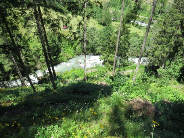 Blick hinunter zur reissenden Dranse d'Entremont 