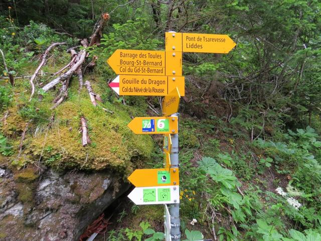 beim nächsten Wegweiser sind die Via Francigena Hinweise wieder vorhanden