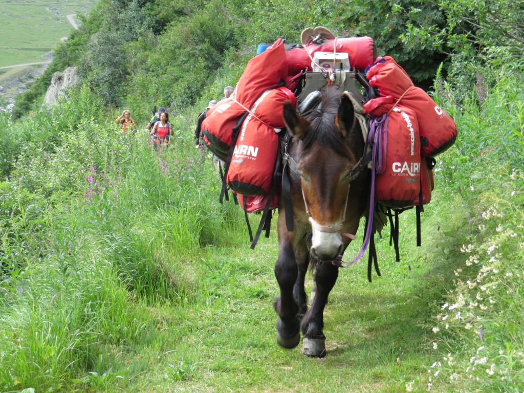 vor uns taucht eine Gruppe von Säumer auf, mit Packpferd