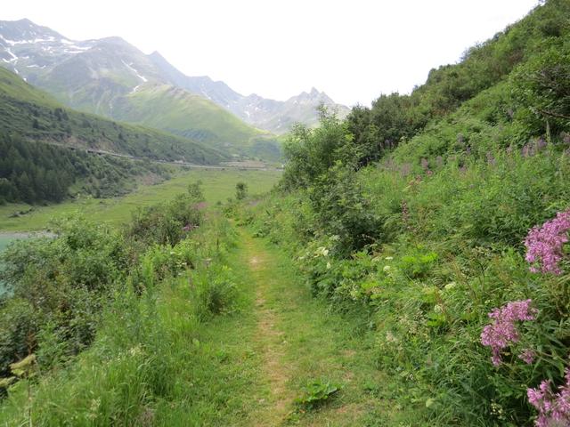 weiter geht unsere Reise Richtung Grosser St.Bernhard Pass