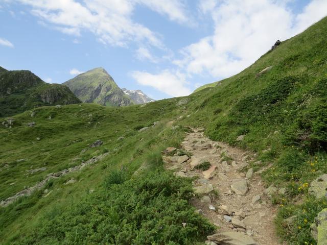 der Weg wird nun steiler