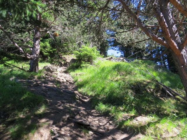 der Wanderweg wird nun steiler