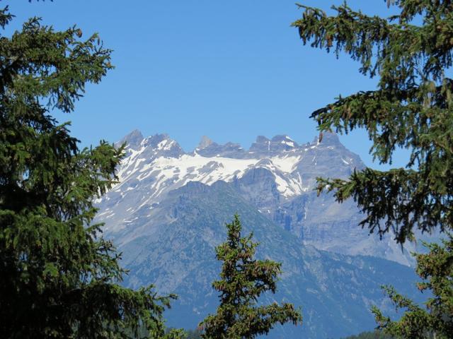 zwischen den Baumwipfeln erspähen wir den Dent du Midi.Was für ein Erlebnis, als wir dort oben standen