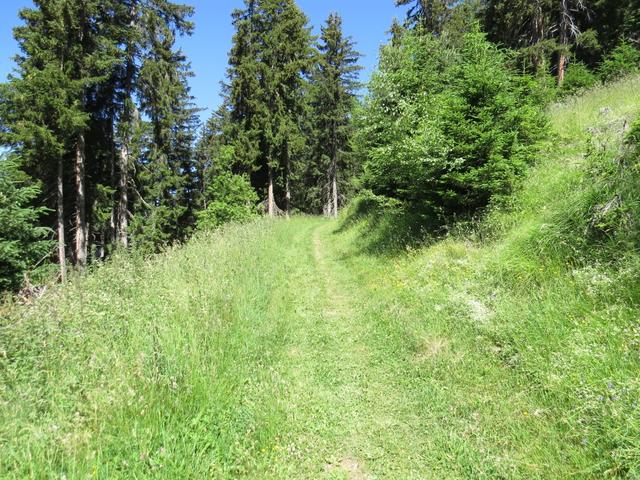 auf fast gleichbleibender Höhe wandern wir nach Curala und weiter zu Punkt 1702 m.ü.M.