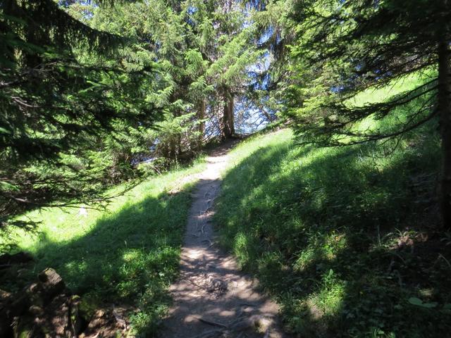 steil und schweisstreibend geht es nun durch den Wald aufwärts