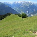 bei Punkt 2136 m.ü.M. werfen wir ein Blick zurück und schauen zum Weg den wir hinter uns gelassen haben