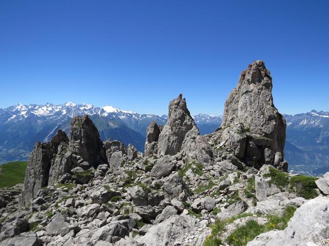 zwischen den Clochetons gut ersichtlich, das Trientgebiet mit Mont Dolent, Aiguille d'Argentière und Aiguille du Tour