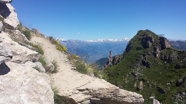 mit Blick in die Berner Alpen, führt der Bergweg danach einen kleinen Linksbogen durch