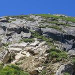 gut ersichtlich die Eisenleitern und der gesicherte Bergweg