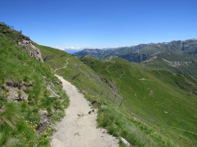 vor uns liegt nun ein langer, aber sehr schöner Höhenweg