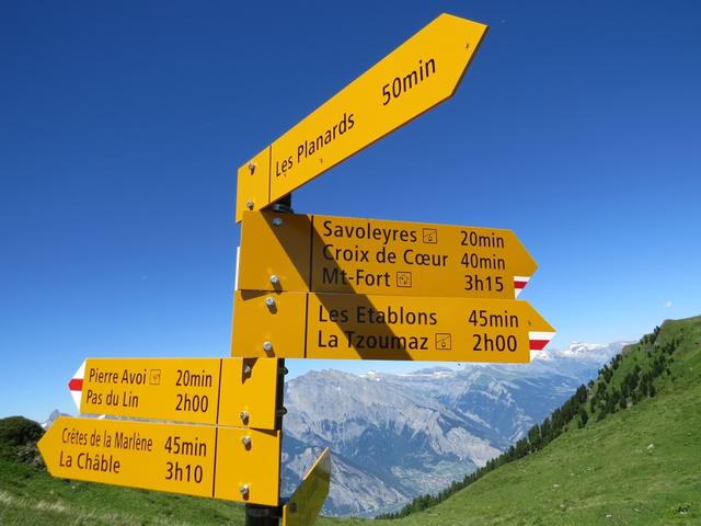 Wegweiser auf der Col de la Marlene 2315 m.ü.M.