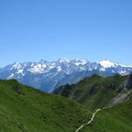 Blick ins Trientgebiet mit Mont Dolent, Aiguille d'Argentière und Aiguille du Tour