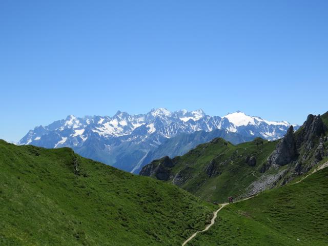 Blick ins Trientgebiet mit Mont Dolent, Aiguille d'Argentière und Aiguille du Tour