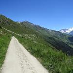 über eine bequeme breite Kiesstrasse schneiden wir quasi horizontal die Flanke vom Mont Rogneux